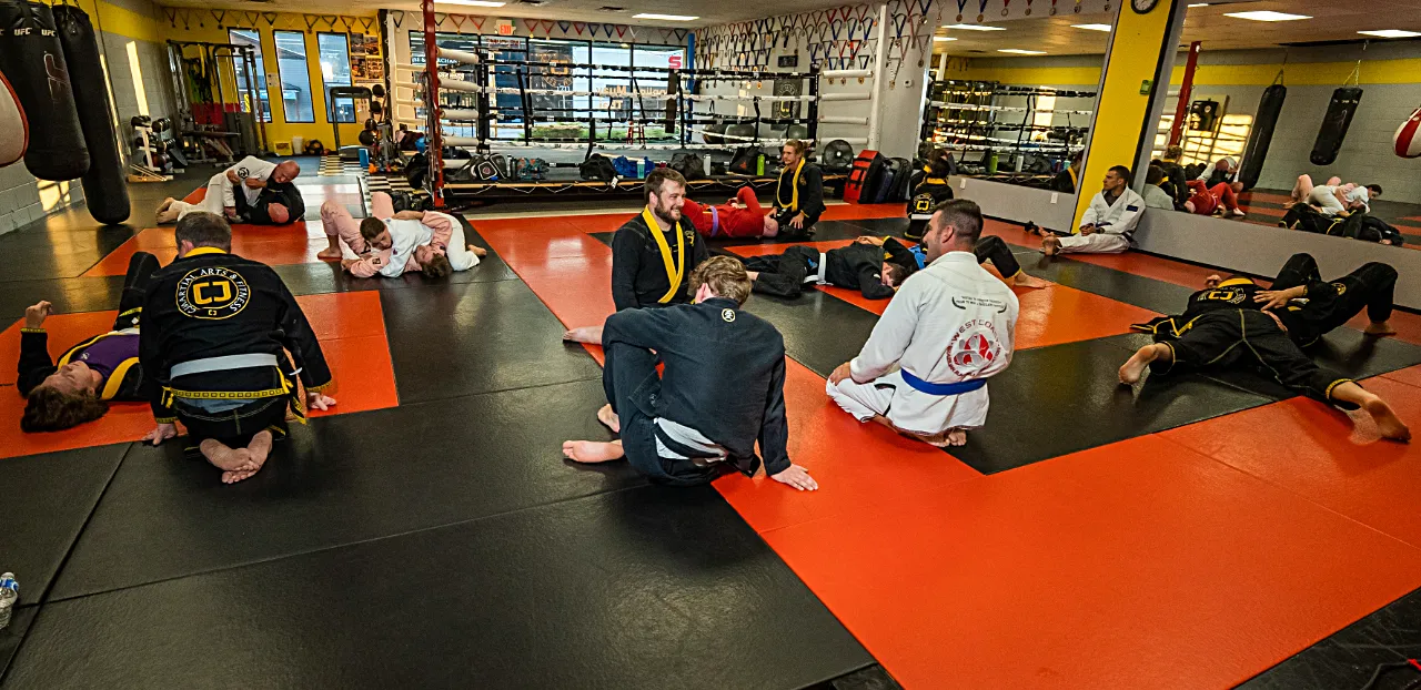 Brazilian Jiu-Jitsu training